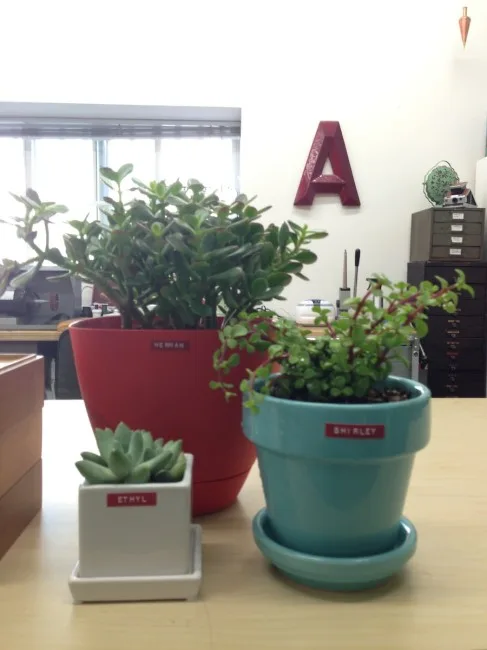 Some of my studio buddies.